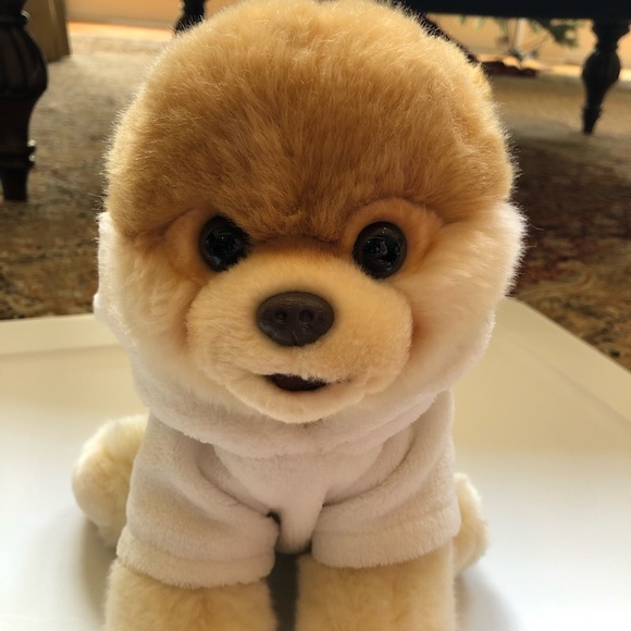 Boo The Dog Stuffed Animal - Picture 6 of 6